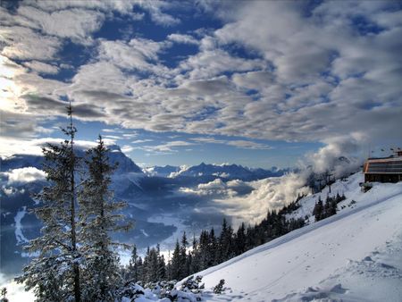 	Neujahr - trees, snow, neujahr