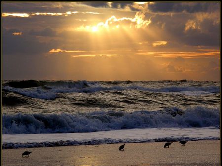 Sunrise at Ormond Beach - sunrise, ormond, beach