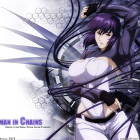 ghost ni the shell