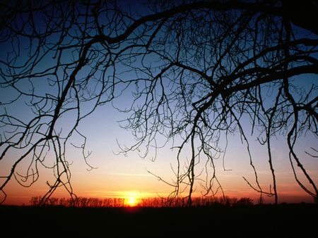 Winter Sunset  - winter, sunset