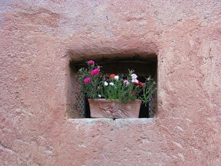 	buon viaggio Anna. - flowers, wall