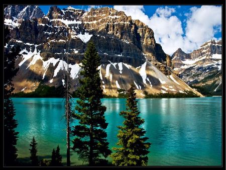 bow lake - lake, turquoise, bow, trees