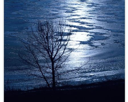 	Lone Tree Silhouette - tree, silhouette, lone