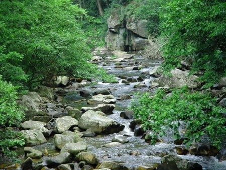 Secret place - nature, rivers