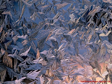 winter  - frost, magic, winter, crystals, lights