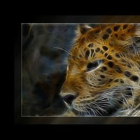 Fractal leopard