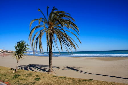 Zanzibar, Tanzania - summer, sand, indian ocean, water, palms, sea, shadow