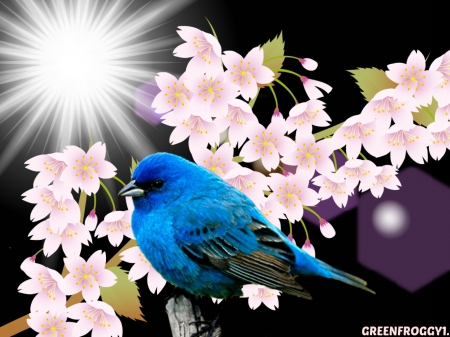 LITTLE BLUE BIRD - blossoms, bird, blue, little