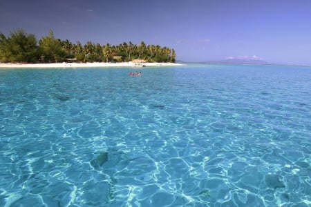 Perfect Clear Blue Lagoon Ocean - Bora Bora Tahiti - aqua, paradise, clear, escape, perfect, polynesia, bora bora, shallow, atoll, lagoon, desert, palm trees, ocean, turquoise, islands, tropical, teal, heaven, exotic, luxury, blue, beautiful, island, south pacific, sea, tahiti