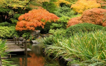 Japanese garden - image, japanese garden, nature, fall season