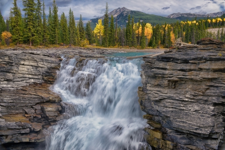 Athabasca Falls, Jasper National Park - river, trees, water, stones, rocks