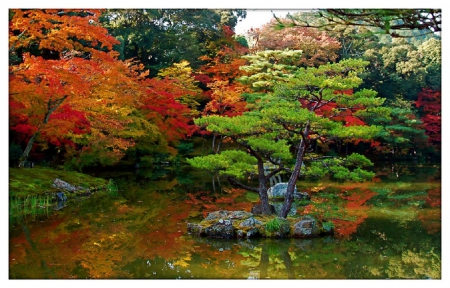 Japanese garden in autumn - japanese garden, water, image, nature, autumn