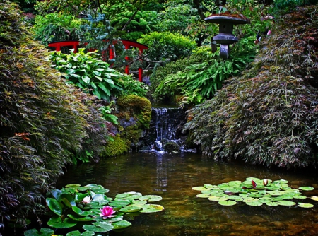 Japanese garden with waterlily pond - japanese garden, nature, waterlily, flowers, pond