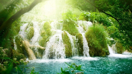 Waterfall - water, nature, waterfall, hd, forest, tree