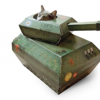 Kitty