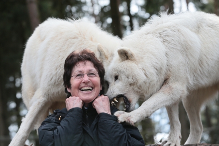 My Wife playing with the Wolves