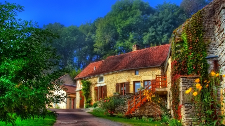 House - photo, house, tree, trees