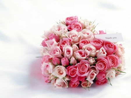 A Bunch of Pink Roses - love, roses, pink, pretty