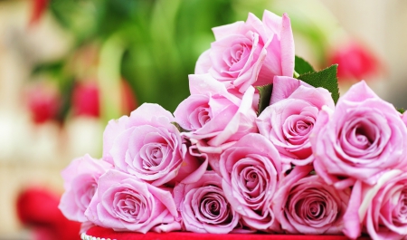 roses - beutiful, bouquet, roses, pink