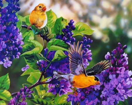 A pleasant day... - lilacs, flying, purple, pretty, day, flowers, birds