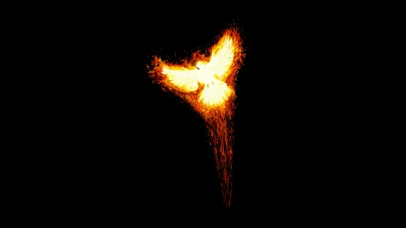 Rise Of The Phoenix - the firebird, the phoenix, rise of the phoenix, phoenix bird