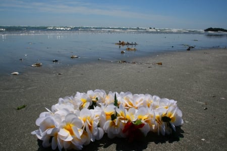 Hawaiian Lei on a Beach - tropical, flowers, beach, islands, ocean, hawaiian, sand, lei, hawaii, island, sea, paradise, garland, exotic