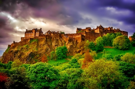 Castle - photo, tree, castle, trees