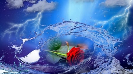 Storm - forces of nature, blue, beautiful, storm, red rose