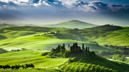 Green landscape - beautiful, field, landscape, green