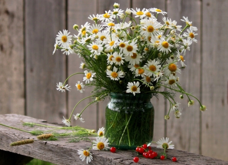 *** Still life *** - flowers, white, flower, nature