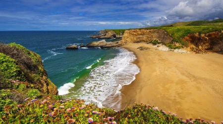 Panther Beach, Santa Cruz, CA - summer, horizons, coast, beach, Santa Cruz, flowers, view, nice, emerald, panther, water, beautiful, sea, lovely, ocean, nature, waves, rocks