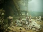 A Picnic Under Water