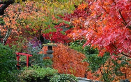 Fall Colors in a Japanese Garden