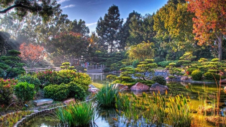 Japanese garden in autumn