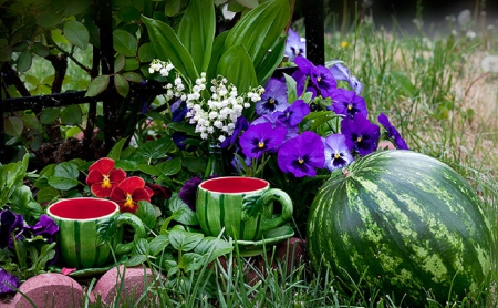 Summer Taste - nature, watermelon, flowers, summer, teacups, garden