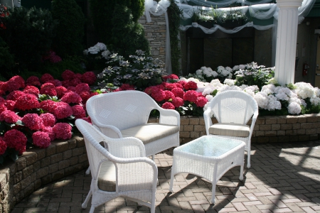 A Flower cannot blossom without Sunshine 20 - white, Flowers, garden, red, photography, table, chairs, Hydrangeas