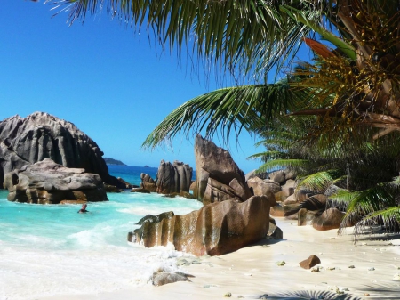 La Digue Island, Seychelles - palms, summer, sand, sea, rocks