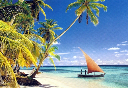 Maldives Beach - palms, summer, sailboat, sand, sea