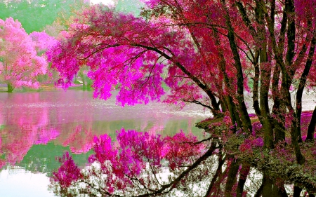 REFLECTION - photoshop, lake, reflection, tree