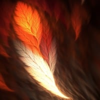 phoenix feather