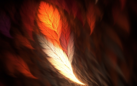 phoenix feather - abstract, feather, phoenix, phoenix feather