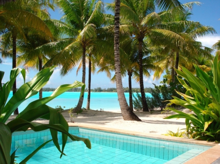 Blue Lagoon and Pool Bora Bora - lagoon, blue, pacific, beach, island, polynesia, sand, tahiti, aqua, swimming, atoll, exotic, palm trees, paradise, water, sea, ocean, islands, tropical, bora bora, pool, clear