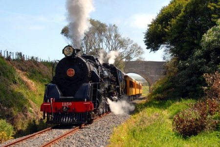 Vintage Train - steam, locomotive, trees, nature, railway, grass