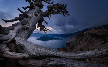 The Guardian - nature, Guardian, lake, mountain, tree