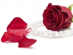 *** Red rose and pearls ***