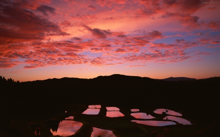 Pink Clouds - rice, clouds, japan, fields, pink, sky