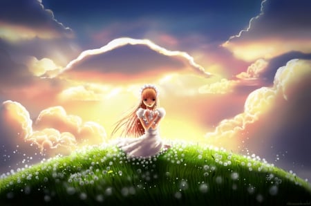 Light of Dandelions - anime, dandelions, girl, light, sky