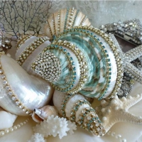 bejeweled seashells