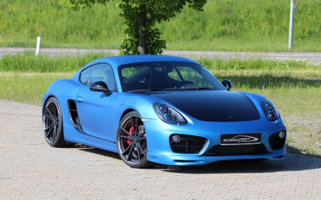 2014 Porsche Cayman SP81-CR By SpeedART - porsche, speedart, cayman, cars wallpaper