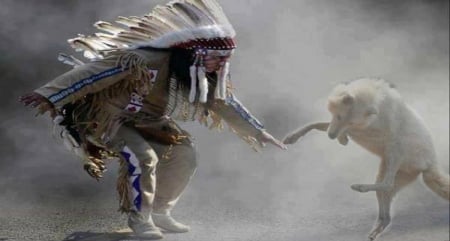 the dance of the wolf - indian, dance, wolf, amazing